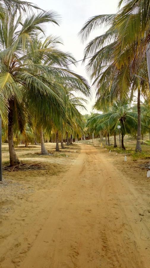 Majestic Beach Retreat Kalpitiya Bagian luar foto